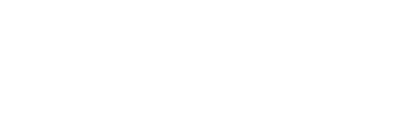 Desarrollador de Sistemas