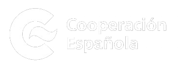 Especialista en Sistemas