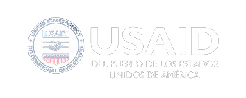 Especialista en Sistemas